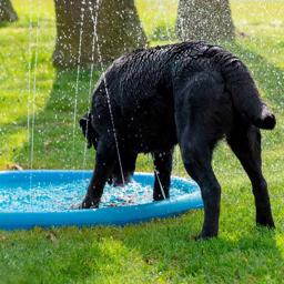 CoolPets Water Sprinkler Måtte Splash Pool til Hunden